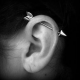Bone 2 Steel